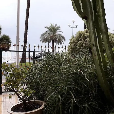 公寓 Promenade Des Anglais Petit Studio Au Calme